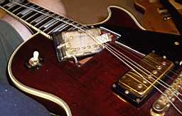 Pickups IMGP1990.jpg